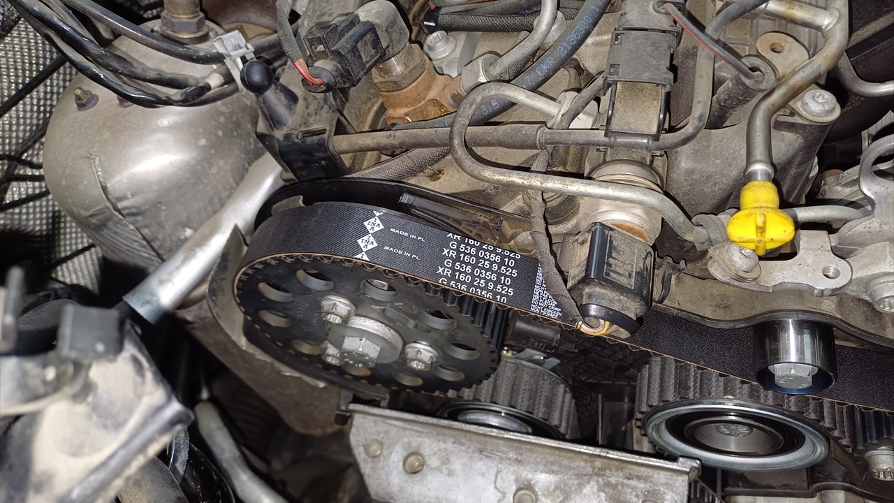 20240618_155522 - copia